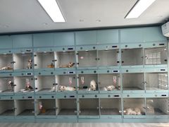 -萌宠之家·腊肠犬·马尔泰·小体犬舍