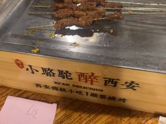 -福苗小骆驼烧烤(莲湖路店)