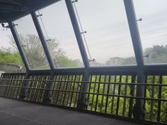 -福道