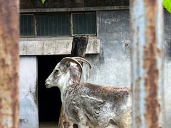 -北京海洋馆