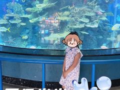-泉城欧乐堡海洋极地世界