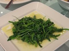 -正兴蜀园(科技园区店)