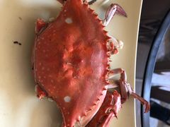 -大锅强·蒸海鲜青岛菜(吾悦广场店)