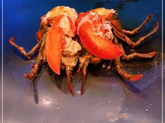 -和·铁板烧餐厅·昆泰嘉晟酒店(望京店)