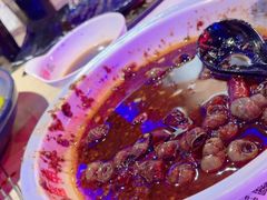 -红盔甲·小龙虾(车公庙店)