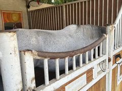 -名驭国际马术学院