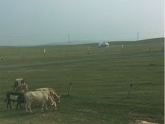 iphone_upload_pic-木兰围场
