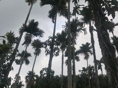 -呀诺达热带雨林