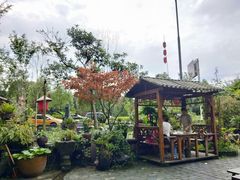 -青城甲(青城山店)