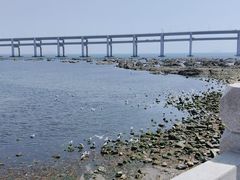 -黑石礁公园