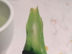 -大榕树下顺德菜(融创茂店)