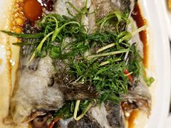 -长平肥姐白粥·海鲜打冷