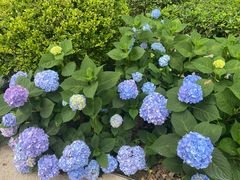 -漕溪路(地铁站)