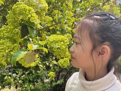 -南山植物园