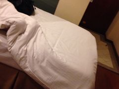 iphone_upload_pic-格林豪泰商务酒店(上海大宁国际延长路地铁站店)