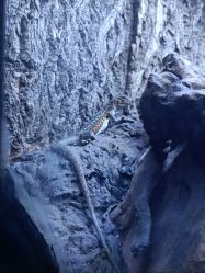 -酷嗒动物文化乐园(cutezoo西溪乐天城店)