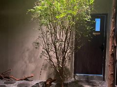 -森SPA·泰式按摩·精油Massage(宝安中心店)