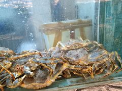 -海逸海鲜酒家(古北店)