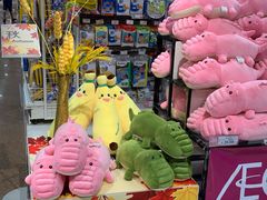 -AEON永旺(东方宝泰店)