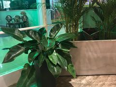 -鲜果盒子(会展店)