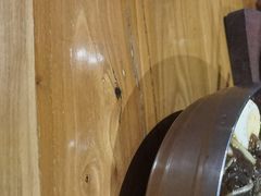 -冰川冷面·延边菜·炭烤串(观前店)