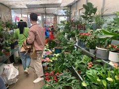 -金陵花卉交易市场