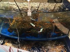 -海景壹号大酒店(滨湖店)