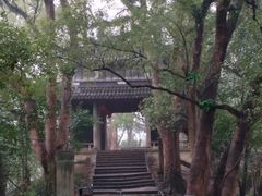 -蒋氏故居