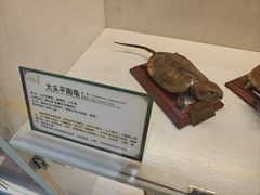 -广州市帽峰山景区