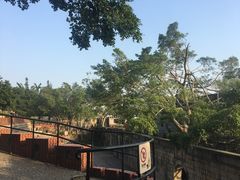 -胡里山炮台