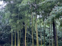 -天目湖御水温泉·度假酒店