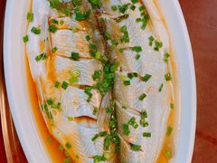 -呼吸森林·生态农庄农家乐私房菜