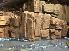 -中家鑫园温泉酒店鑫悦汤泉