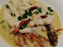 白水洋豆腐烧九公-张福记(陇海中路店)