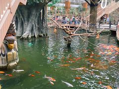 -南宫五洲植物乐园