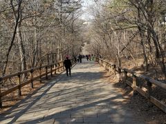 -棋盘山风景区