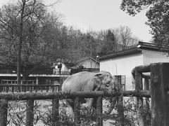 -杭州动物园