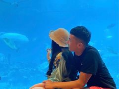 -涛·海底餐厅·美人鱼·自助餐·海底隧道(三亚海棠湾洲际度假酒店)