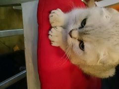 android_upload_pic-MIKAKU(万达广场上海宝山店)