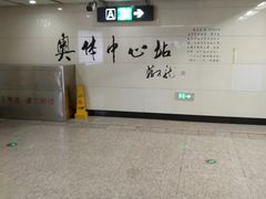 -奥体中心(地铁站)