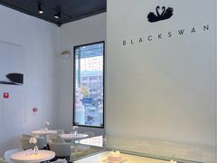 -BLACKSWAN黑天鹅(环球店)