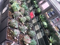 -KKV(深圳宏发大仟里店)