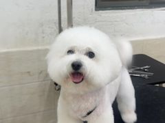 -暖阳宠物医院·犬猫康复中心·骨科