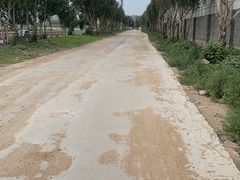 -丁香湖公园