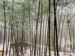 -径山寺