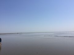 -南汇嘴观海公园