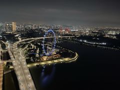 -新加坡摩天观景轮