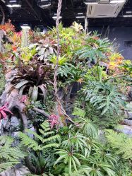 点击看大图 -Zoolung Zoolung动物主题公园(海信广场店)