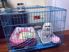 -1013 PET SHOP 宠物商店(近铁城市广场店)