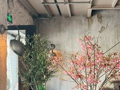-Apollo·西班牙小酒馆(安福路店)